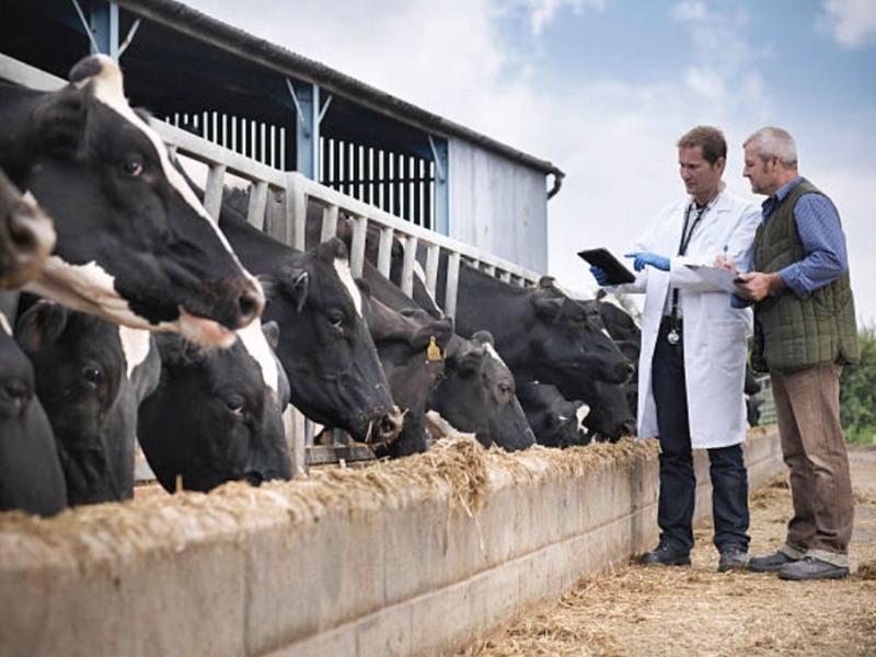DE LUCA-BARATTA: Canada’s other supply management problem