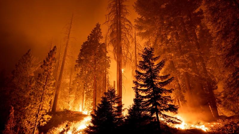 “Another Big Lie”: Trump’s EPA Plans to Stop Regulating Greenhouse Gases