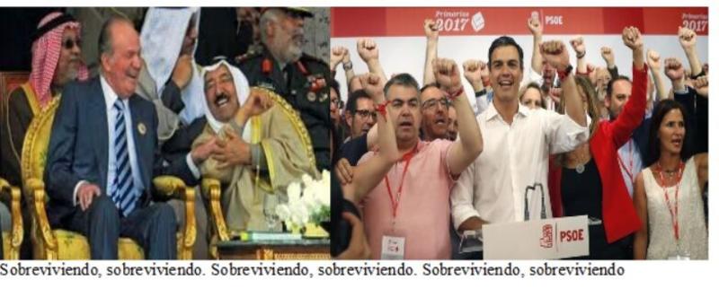 Sobreviviendo