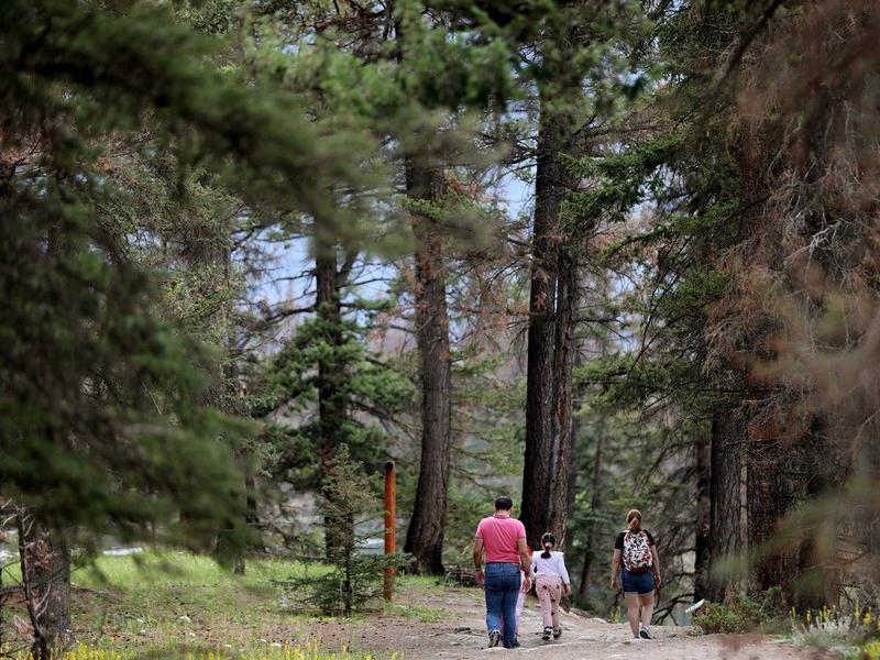 Opinion: Visit Jasper and be a part of its renewal When the 2024 forest fires reached the town of Jasper, almost exactly a year ago, the impacts were felt deeply. Not just across the landscape, but in the lives of the community members and Canadians across the country.