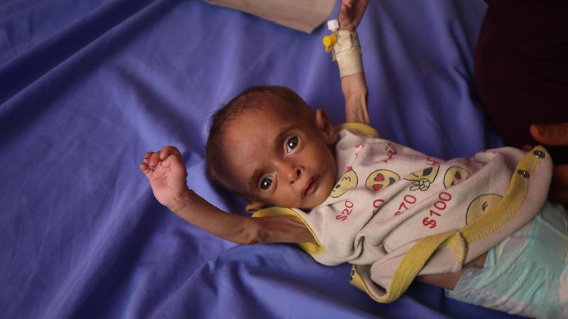 Not in Gaza: „Sie stehen kurz vor dem Hungertod“