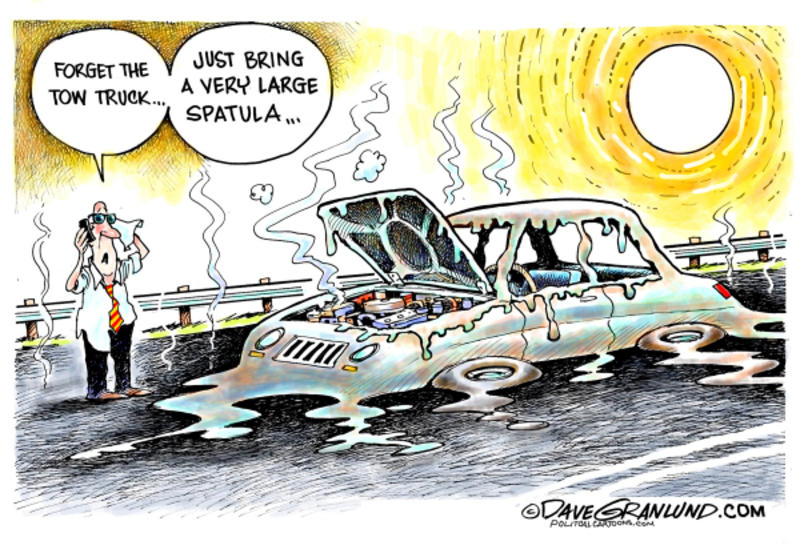 Cartoonists’ take