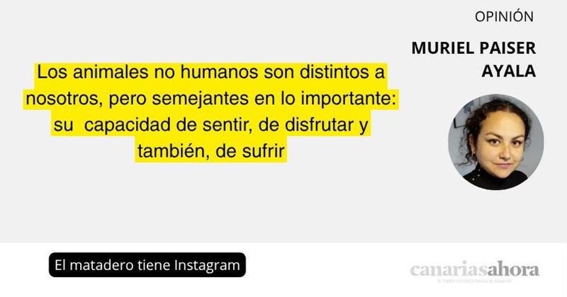 El matadero tiene Instagram