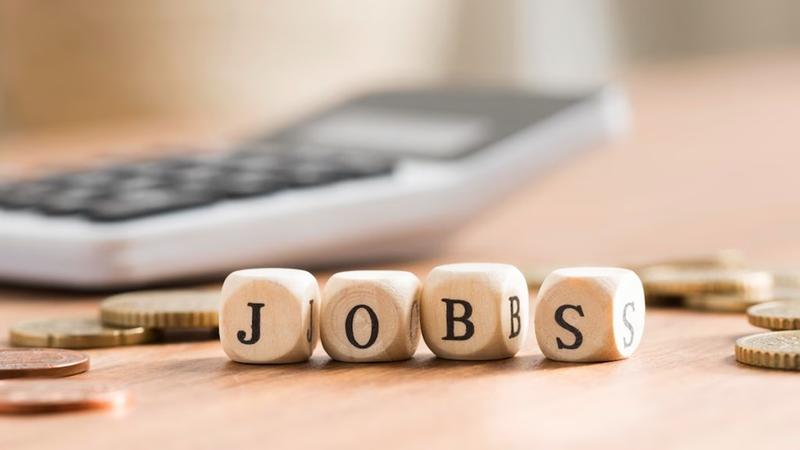 Transforming a nation of job seekers