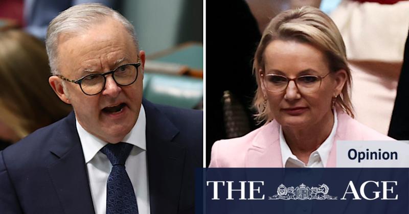 With Coalition comeback stalled, the government’s become its own opposition