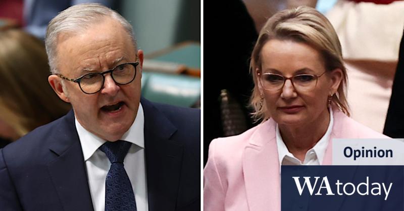 With Coalition comeback stalled, the government’s become its own opposition