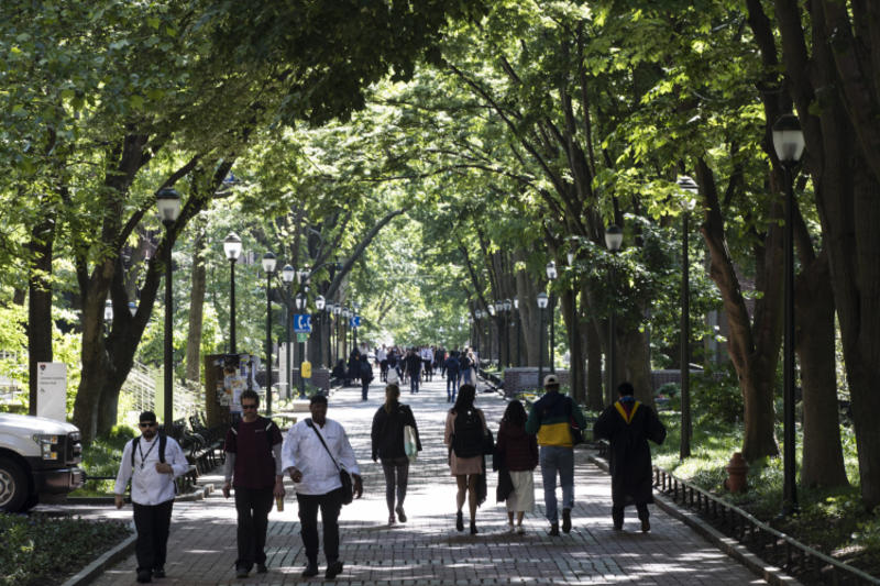 Beware Rationalizations for Leaving Universities as They Are