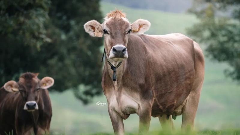 El conocimiento es la herramienta para superar el atraso de Latinoamérica