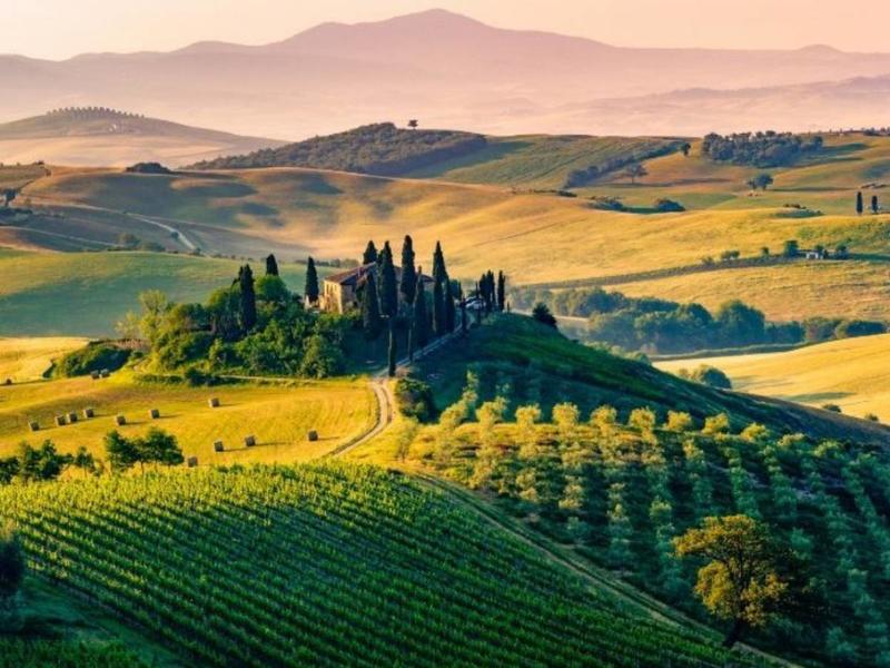 Turismo enogastronomico: un business in cerca di professionisti