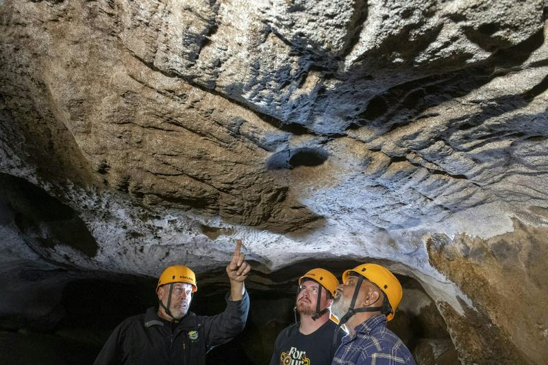 Precious finger traces from First Nations ancestors revealed in a glittering mountain cave in Australia