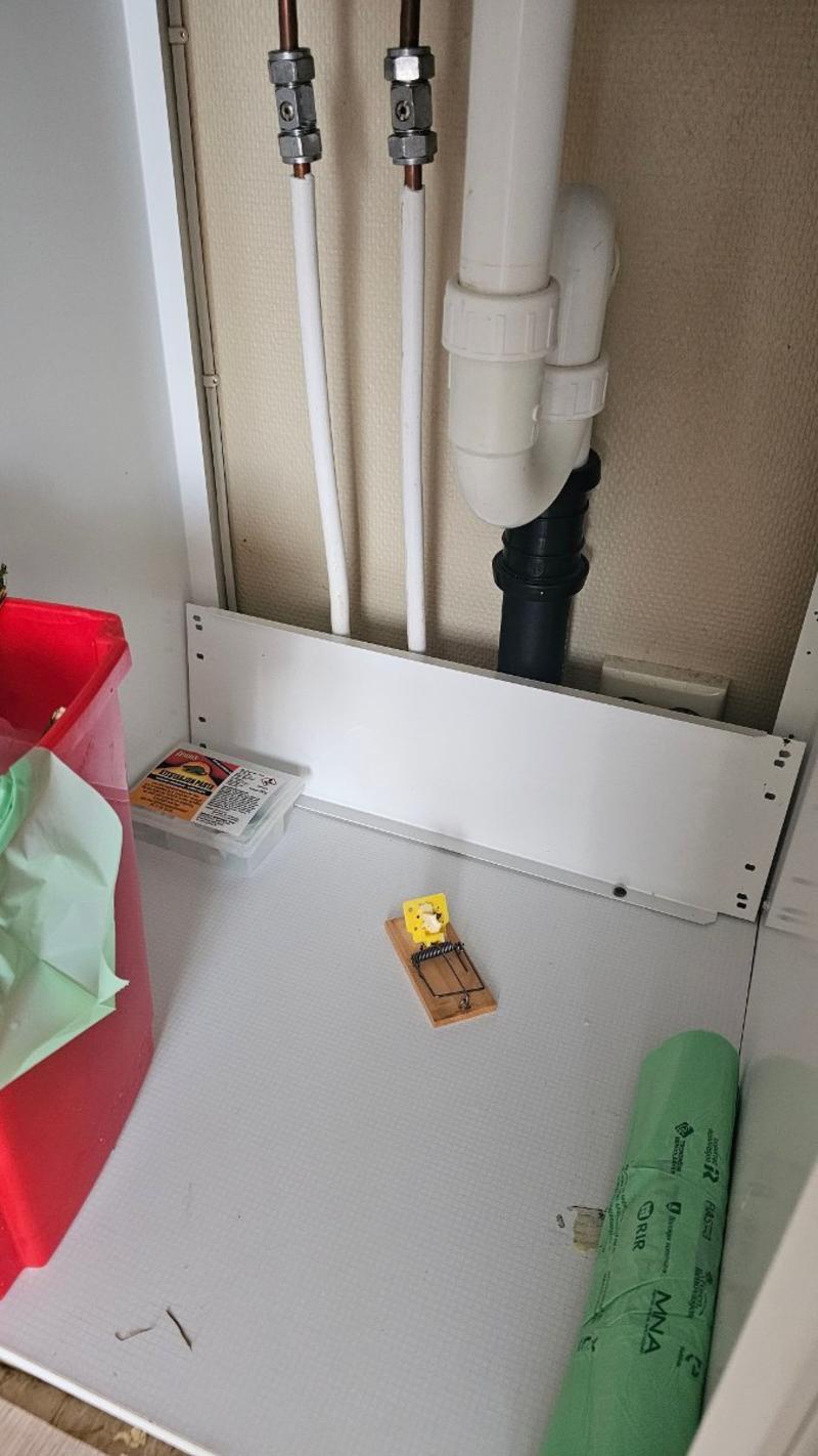 Vil du at faren din skal bo her?