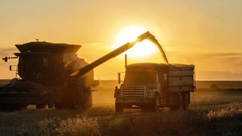 Agriculture in the red: default, debt and falling sales shake leading firms