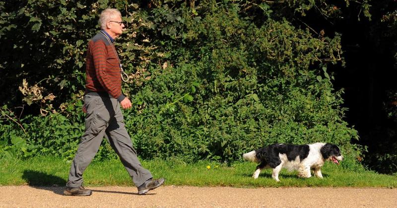 Dogs banned from playgrounds after 'widespread support' for measure