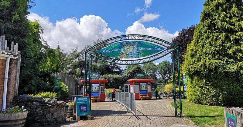 Zoo to host first-ever music festival