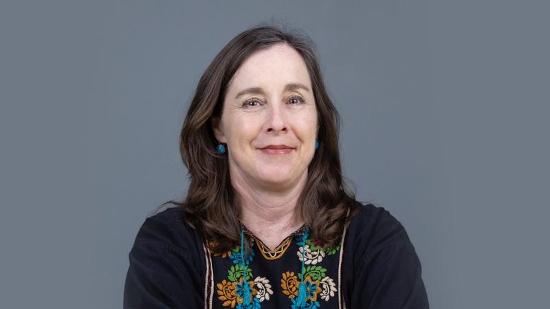 Miriam Lang über grünen Kolonialismus: „Plünderung gilt jetzt als Klimaschutz“