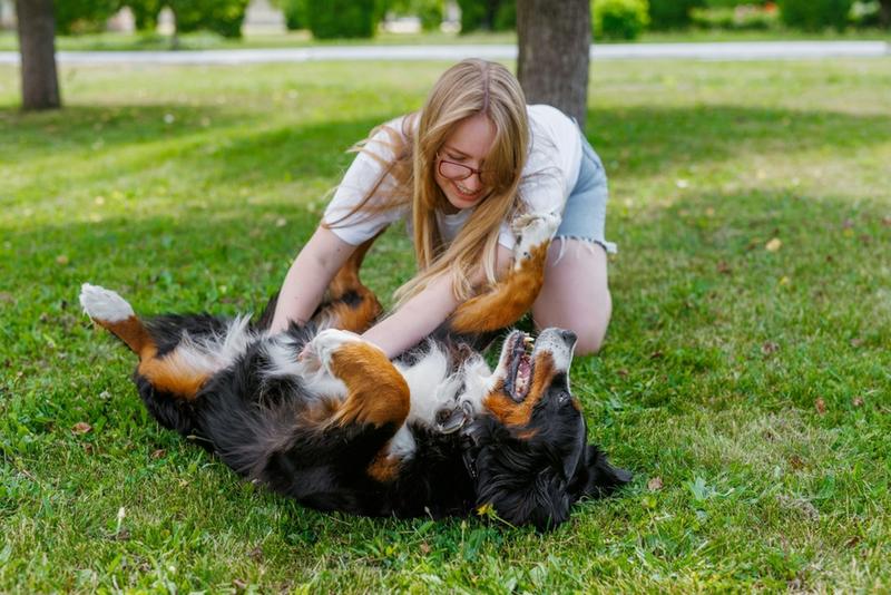 Les chiens pourraient nous aider à réguler notre stress bien mieux que ce que l’on pensait, selon une étude