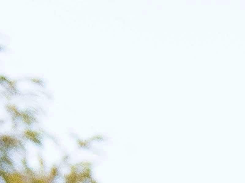 Chanteur pro-Trump: censurer au nom de la vertu