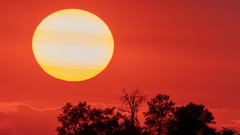 Trump’s EPA Moves to Kill “Holy Grail” of Climate Regulations