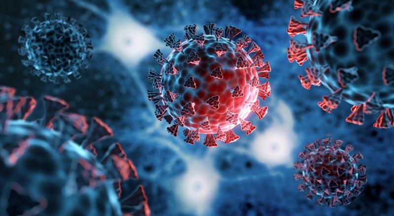 How conspiracy theories about COVID’s origins are hampering our ability to prevent the next pandemic