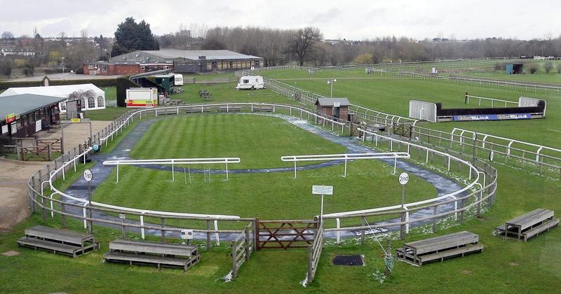 Hounds take the reins at racecourse as it welcomes new dog walking facility
