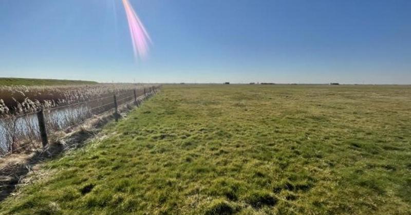 Stunning Broads marshland for sale next to A47