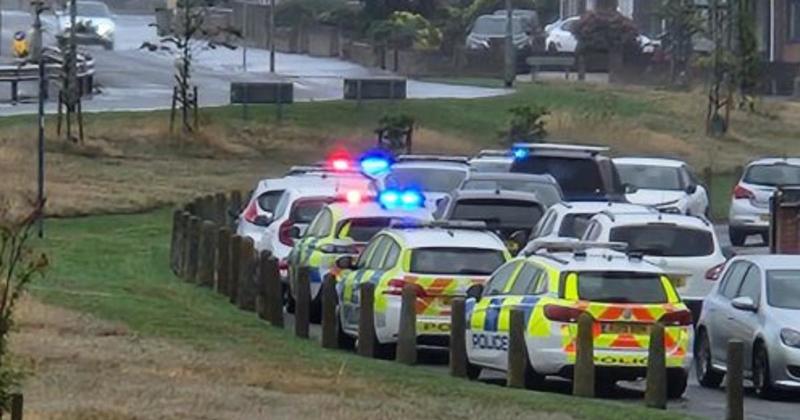 Teenager released after multiple police cars swarm street