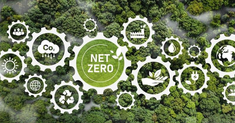 ¿Adiós a la neutralidad de carbono? Cómo las empresas están reformulando sus estrategias climáticas