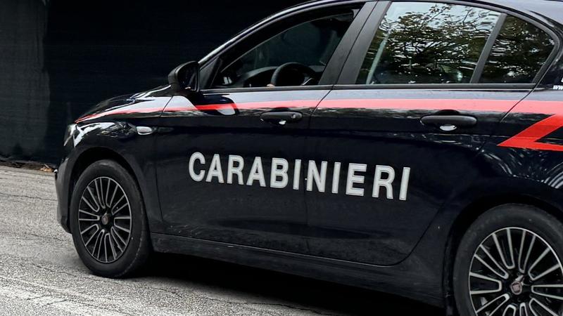Acquista un’auto online. Ma viene ingannata