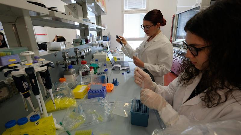Università Bicocca, sorpasso delle dottoresse di ricerca: “Guadagnano più degli uomini”