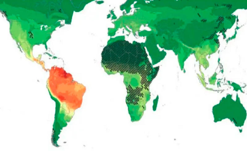 Epidemias y riesgos en la agenda de América Latina, por Marino J. González R.