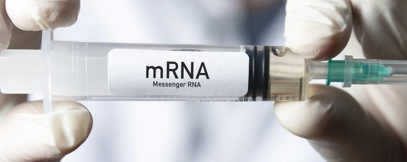 Cancro, l’ultima speranza arriva da un nuovo vaccino. Una svolta storica