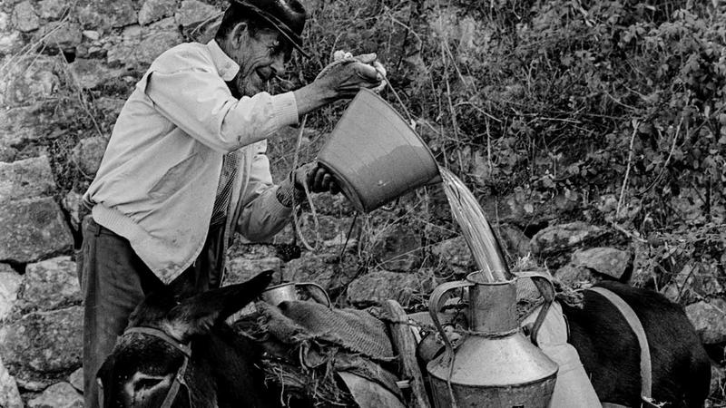 Um novo paradigma para a Gestão da Água e do Ambiente