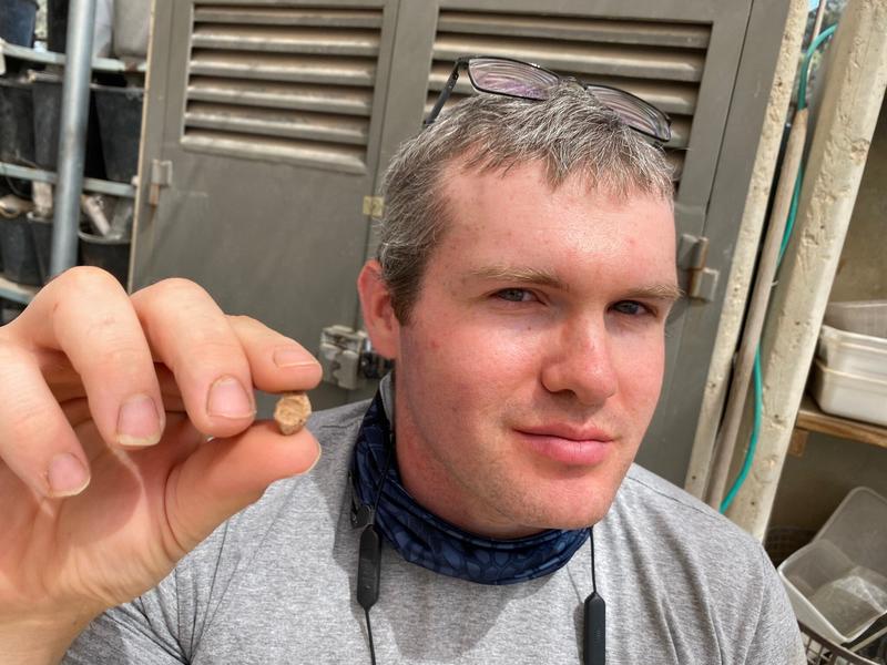 Tiny 2,600-year-old clay sealing inscribed with biblical name found in Temple Mount soil