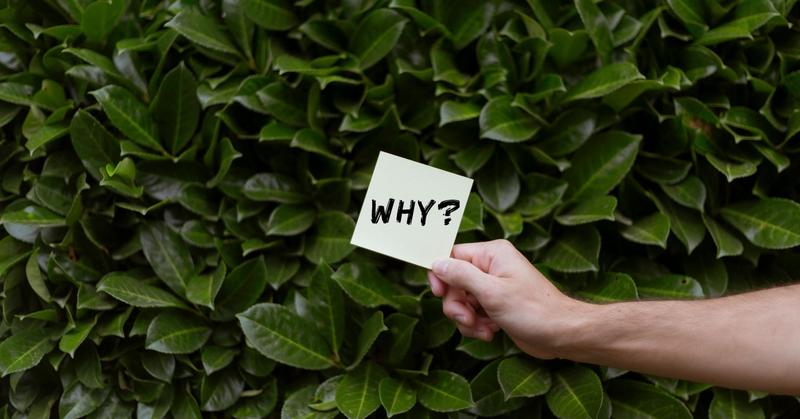 Why Make Therapy Constructive?