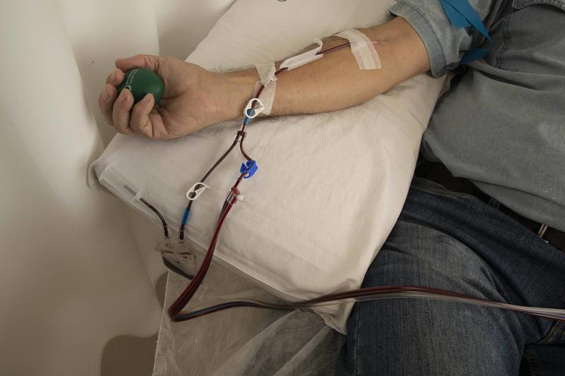 Fiocruz e Hemobrás lançarão teste inédito e nacional para hepatite A e Parvovírus B19