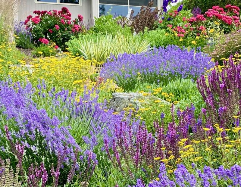 How to kill your lawn