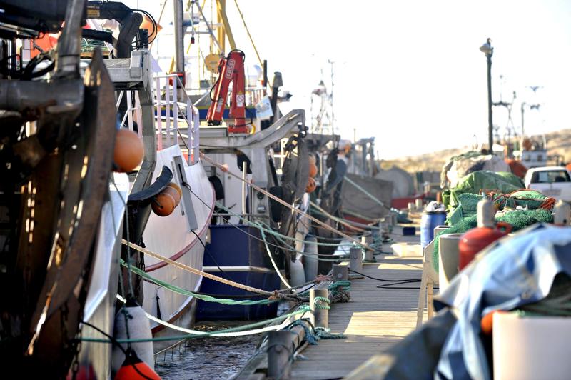 –⁠ Det er ikke fiskerne som forurenser fjorden