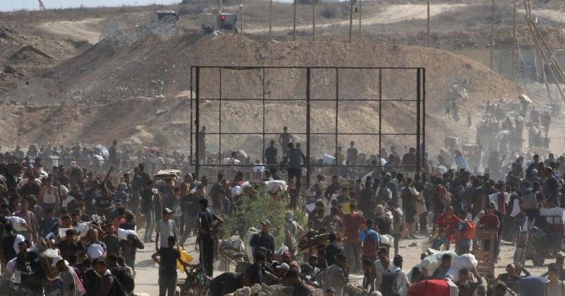 Gaza civil defence says 14 killed by Israeli fire