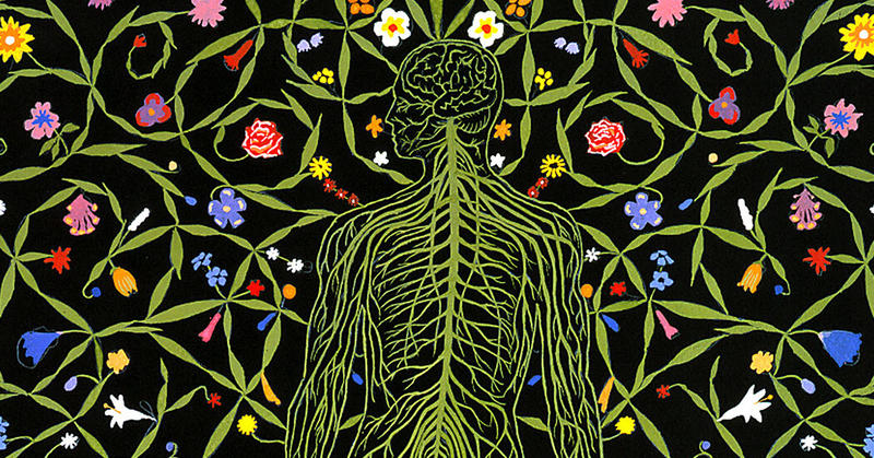 Donor Organs Are Too Rare. We Need a New Definition of Death.