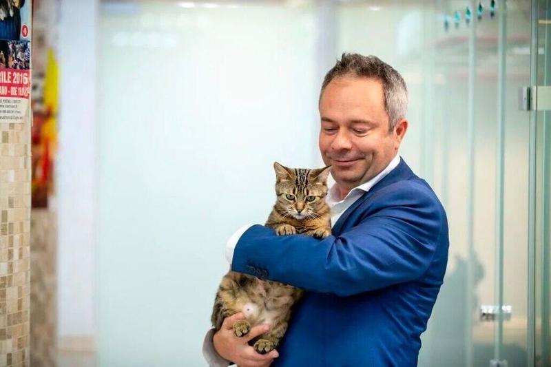 Из блиндажей — на сцену: коты-фронтовики готовятся стать артистами в Театре Куклачева