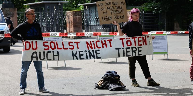 Tiere sind göttliche Schöpfung