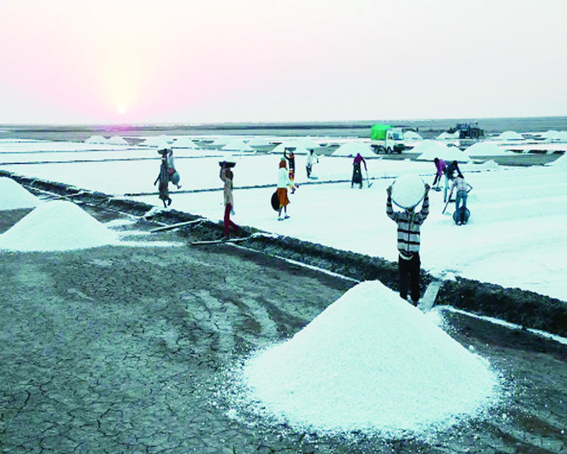 How Climate Change Threatens Gujarat’s Agariyas