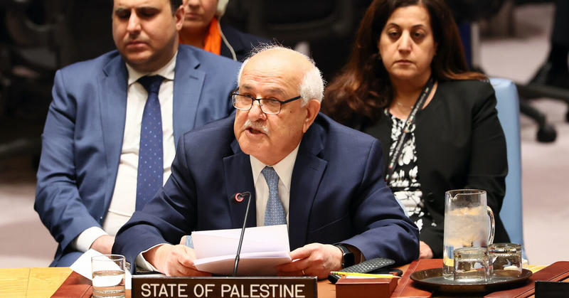 Palestinian UN envoy: Saudi-France summit was 'historic' milestone, builds on France recognition