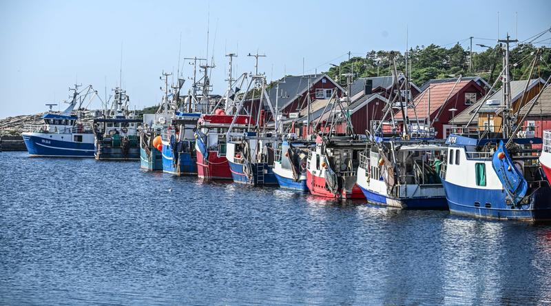 Fiskeforbudet er nødvendig