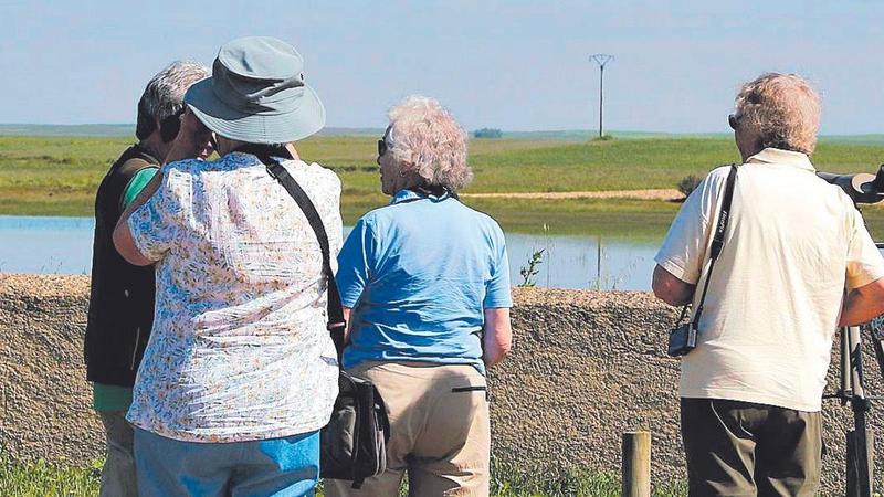 Que como turistas vuelven en los meses de verano