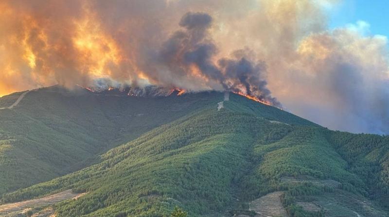 el fuego avivado por abandono, desamparo, maltrato… cobardía y mentiras