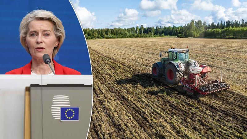 Politiikka | Yliö: EU-komission ehdotusta tulevasta maatalousbudjetista on tulkittu väärin − 86 miljardin leikkaus ei ole selvää