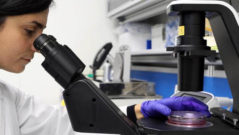 Citomegalovirus in gravidanza: studio italiano svela perché può colpire le donne immuni