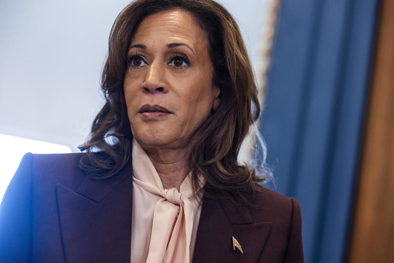 Kamala Harris, la sua disfatta contro Donald Trump diventa un libro