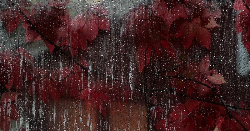 Grief May Be Hiding in Your Everyday Life